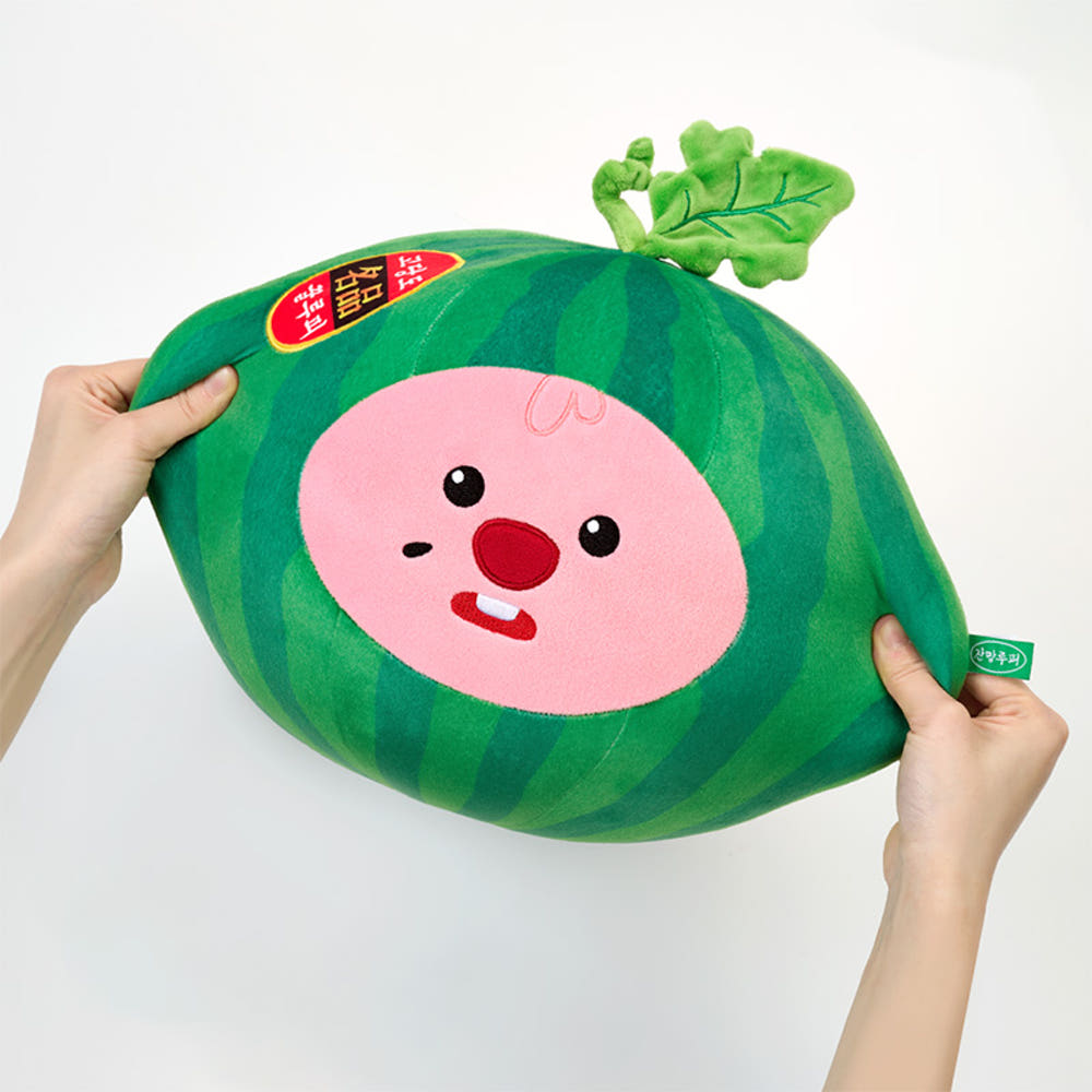 [韓國限定] ZANMANG LOOPY CUSHION 西瓜咕臣抱枕